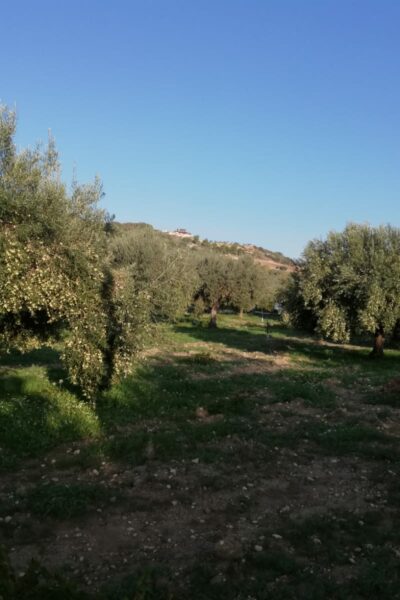 IMG-20211215-WA0004